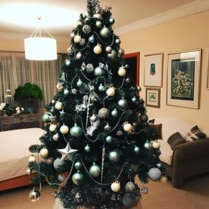 adelaide christmas tree