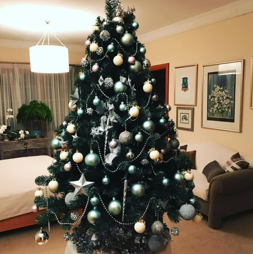 adelaide christmas tree